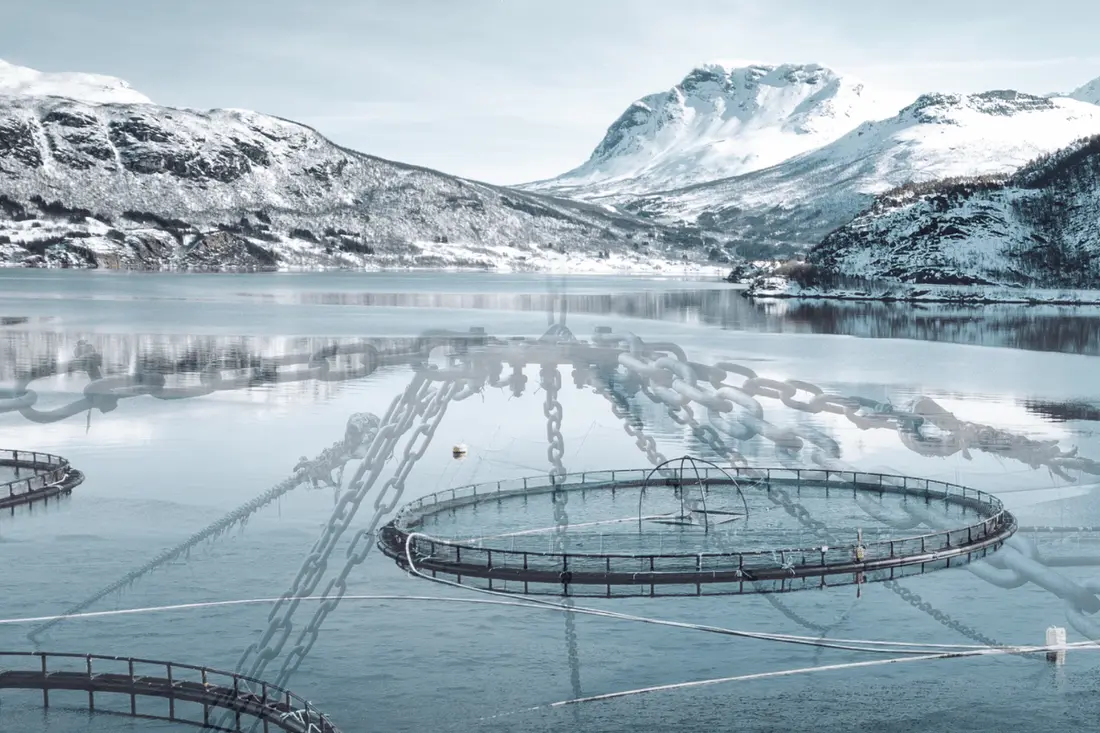 Oppdrettsanlegg i fjorden